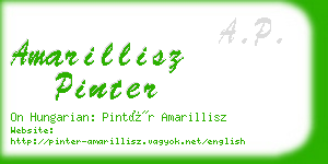 amarillisz pinter business card